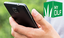 MyDLF customer portal offers more functionality and better business support